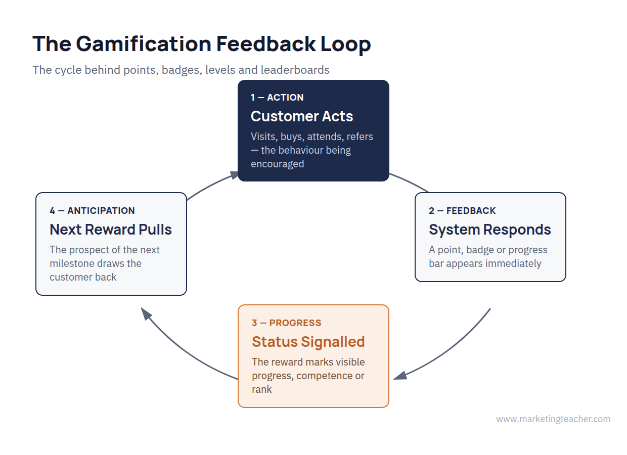 Diagram of the gamification feedback loop: action, feedback, progress, anticipation